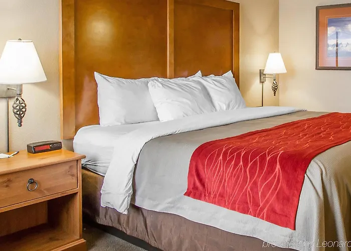Hotel Comfort Near Kartchner Caverns Benson